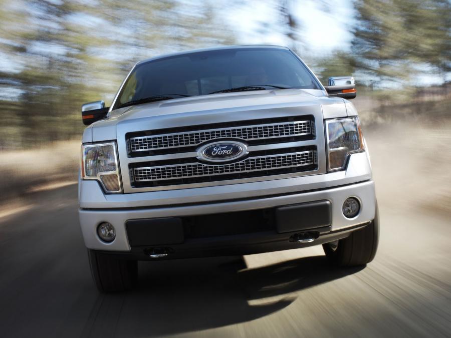  Ford F-150 Platinum 2008 года  (фото 14 из 19)